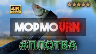 #237 #мормышинг | Плотва и щука на мормышку | озеро Ольховатое | Рыбалка 08.06.2024 |