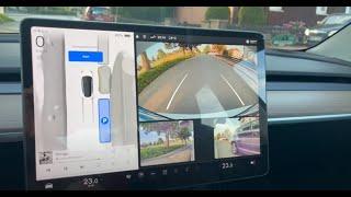 Autoparken Tesla Software 2024.20.6.2 mit EAP, Vision Only