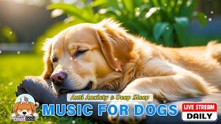 Healing Dog Music Soothing Sounds for Dog Deep RelaxationSeparation Anxiety Relief music for Dogs