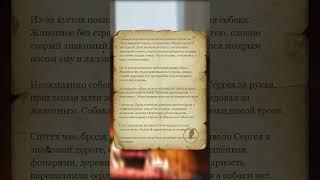 Пёс вывел меня из темноты — история о чуде и спасении #жизненныеистории #историиизжизни #истории