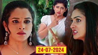 NNS | NNS Today Ep - 296 Review & facts | Telugu Serials | Serials | Tollywood Box Office |