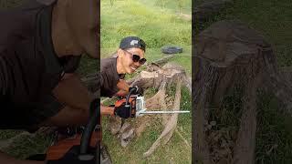 Gagal Test senso stihl ms 180 jadi pakai ms 250 aja‼️