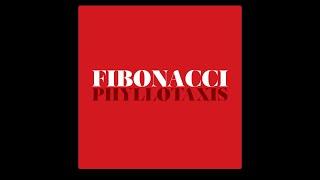 Fibonacci / Phillotaxis