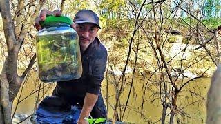 Como crear un "MUNDO EN UN FRASCO" Ecosfera l Sistema vivo cerrado.