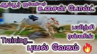 அடேங்கப்பா புயல்  வேகம் கன்று ஆம்பூர் உசைன் போல்ட் பறக்குது டா Eruthukattu festival