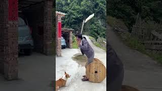 Non-Stop Family Fun   Your Daily Dose of Laugh-Out-Loud Comedy 
