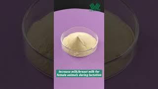 Wholesale bulk high quality organic bacillus subtilis.