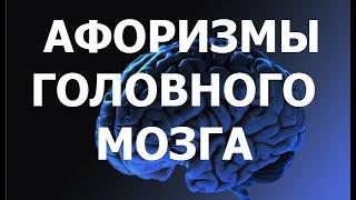 Афоризмы головного мозга.