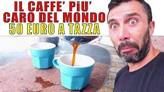 Ci offrono il caffè più caro del mondo | 50 euro a tazza | Geisha