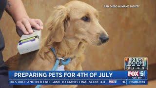 Preparing Pets for the 4th of July