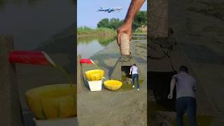 crazy videos ideas with mobile   #shorts #trendingshorts #viralvideo #videography #therealmaker