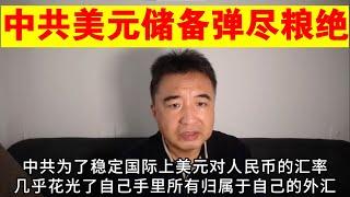 翟山鹰：中共美元储备已经弹尽粮绝丨香港丨人民币丨美元