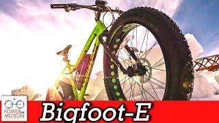 Electric Fat bikes Comparison by Princess Island Lagoon, Calgary, Alberta, Canada | eBike Calgary