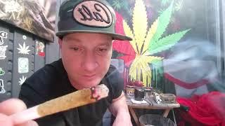 kingroll preroll 1.3g cannalope AK flower x cannalope kush cannabis oil total thc 40.33