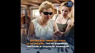 Мастер-класс по уходу за лошадьми Калининградская область