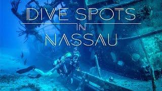 The Best Diving Spots in Nassau | Living the Salt Life