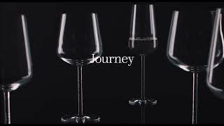 Zwiesel Glas Journey Champagnerglas, Sektglas mit Moussierpunkt