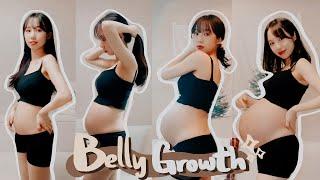 Pregnancy Transformation｜Month By Month Belly Progression