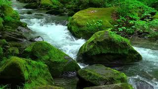 Relaxing Water - Healing Music for Spiritual Practice - Ethereal Meditative Ambient Music