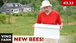 New Bees! (Installing a Nuc)