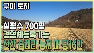 구미 토지, 경지 정리 되어있고, 국유지 165평까지 사용하는 총평수 700평대, 농지원부 농업경영체등록 하기 좋은, 선산읍 습례리 농지 매매