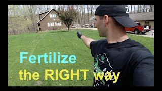 WHEN and HOW to FERTILIZE your lawn