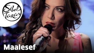 Sibel Tüzün - Maalesef (Official Video)