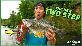 The BEST TOPWATER Fishing LURE! ( Fishing Tips )