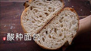 酸种面包 蕾丝组织 Sourdough Bread Lacy Crumb