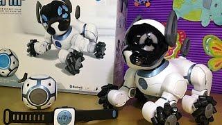 Chip el perro robot que parece de verdad.