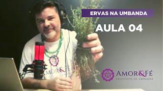 CURSO DE ERVAS NA UMBANDA | AULA 04 - TOMILHO