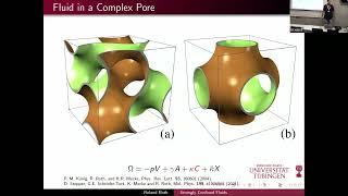 R.  Roth - CECAM Workshop "FLUIDS IN POROUS MATERIALS"