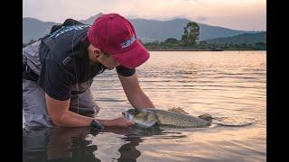 Il sogno di una guida di pesca - The dream of a fishing guide