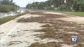 Martin County residents assessing damage following impact of Hurricane Nicole