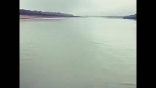 Что происходит братья ?