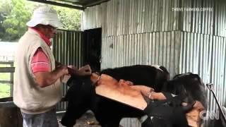 3999 economics CNN Profit sharing in the coffee industry