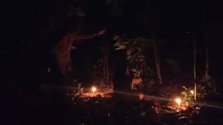 Live misteri || Siapa dia sebenarnya penasaran