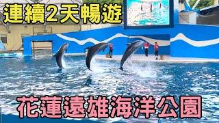 2023花蓮遠雄海洋公園連續2天暢遊全紀錄！｜海豚表演．海獅巡警隊表演｜海盜大驚航｜海洋冰風暴｜花蓮兩天一夜｜花蓮景點｜Farglory Ocean Park｜Hualien