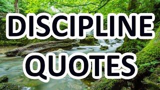 How To Be Disciplined - Motivational Quotes about DISCIPLINE