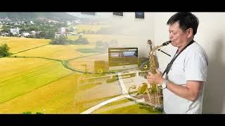 TÌNH ĐẤT - Saxophone - Tuấn Anh Phạm