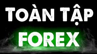 Hướng Dẫn Toàn Tập Forex A - Z 2024