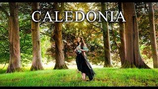 Caledonia - Leyna Robinson-Stone (Celtic instrumental)