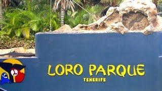 Tenerifa   Loro Parque 2006