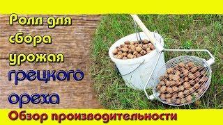 Домашний Ореховый Бизнес /// Как быстро собрать ведро орехов за минуту! /// Ролл для сбора орехов!