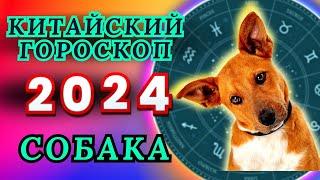 СОБАКА - ВОСТОЧНЫЙ ГОРОСКОП НА 2024 ГОД ПО ГОДУ РОЖДЕНИЯ | ВИСОКОСНЫЙ ГОД  2024