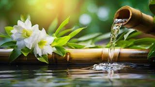 Relaxing Piano Music Bamboo Water Fountain, Sleep Music, Relaxing Music, Meditation Music