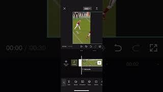How To Make Your Video Move To Follow The Ball or Something Else
