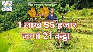 Land for sale lemon agriculture nepal jagga bikrima ma 21 katha 9828943471