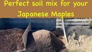Perfect Soil mix for your container grown Japanese Maples