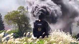 【秋深まる】 SLやまぐち号 D51200号機 　Japanese Steam Locomotive D51 【蒸気機関車】